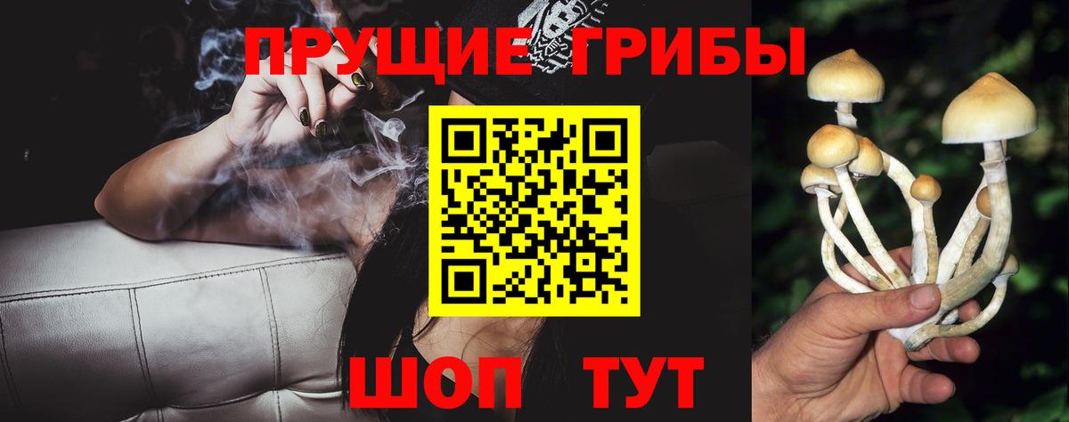 Псилоцибиновые грибы мицелий  Вход с VPN  Екатеринбург 